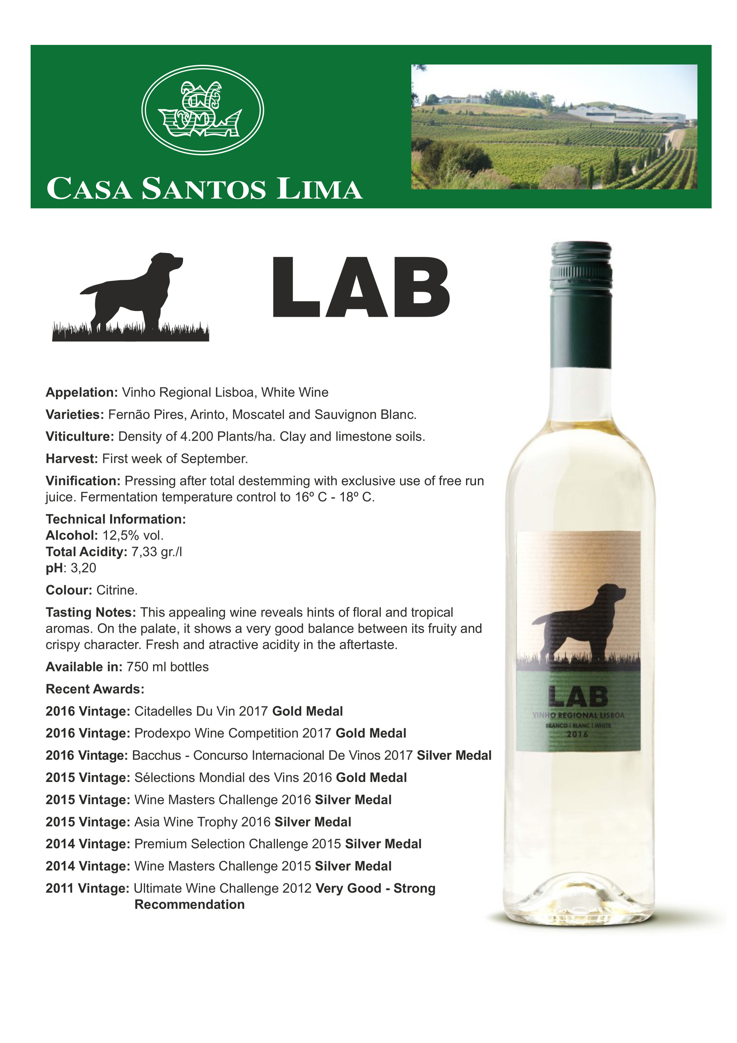 Lab Vinho Regional Lisboa-White